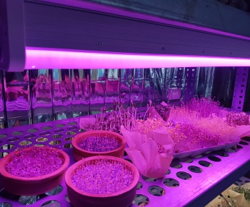 Grow Led Lighting